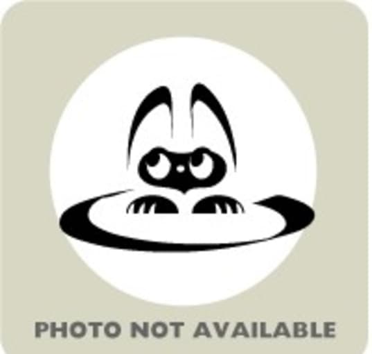Photo of 58229666
