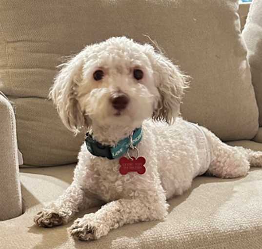 Photo of Walter