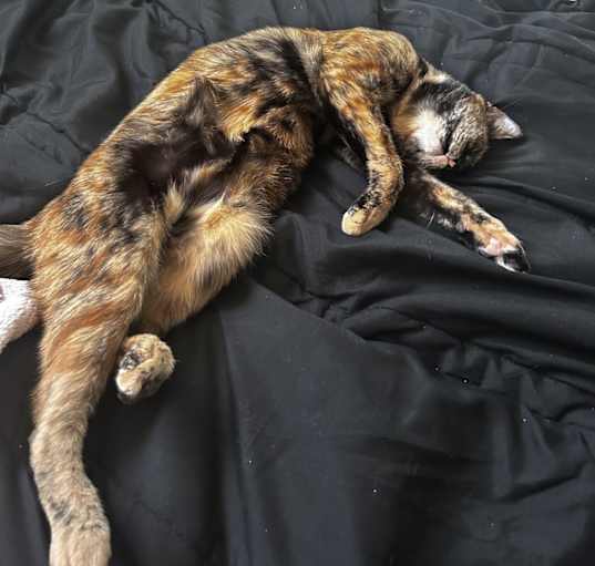 Photo of Zoe