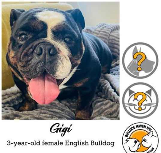 Photo of Gigi