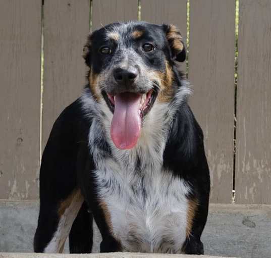 Photo of Winnie
