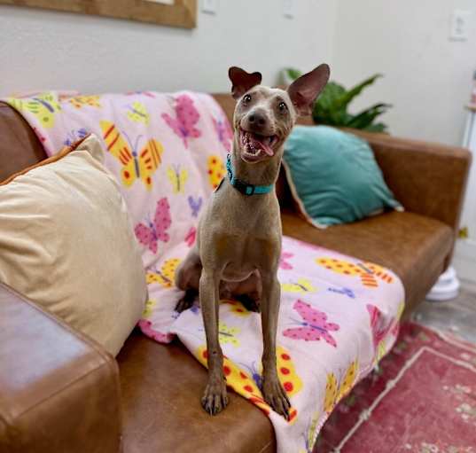 Photo of Ralphie