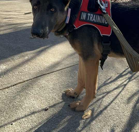 Photo of Zeus