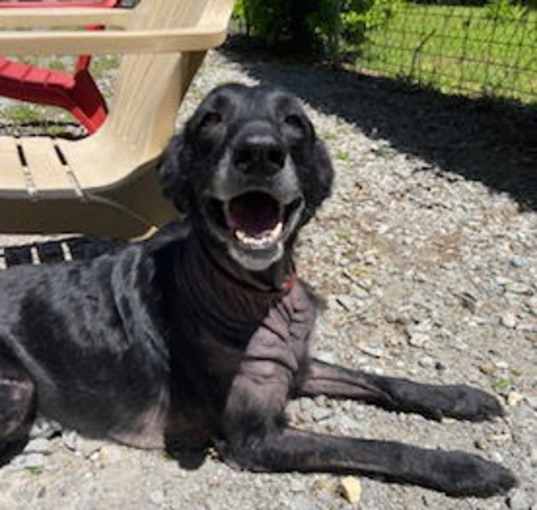 Photo of Mocha