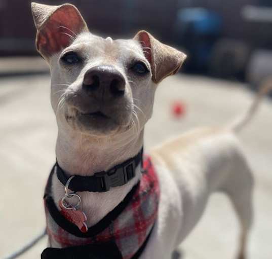 Photo of Mitch