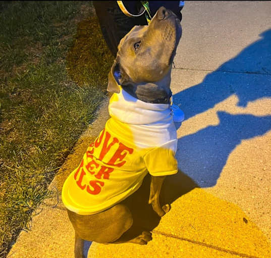 Photo of Mellow
