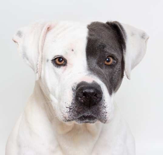 Photo of Ella