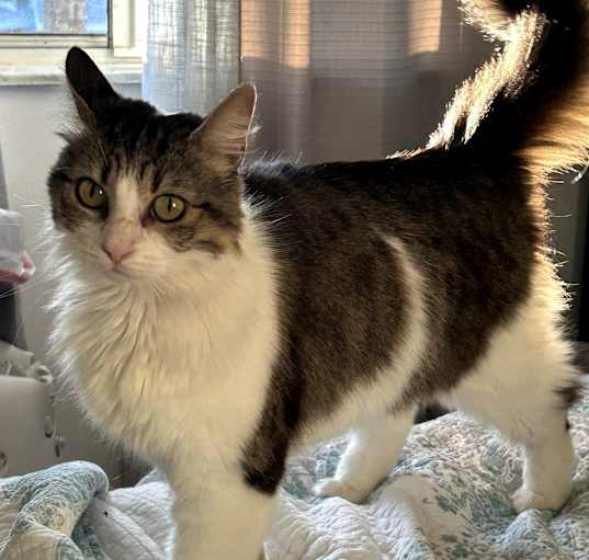 Photo of Jasmine 
