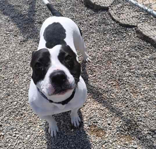Photo of Gracie Lou