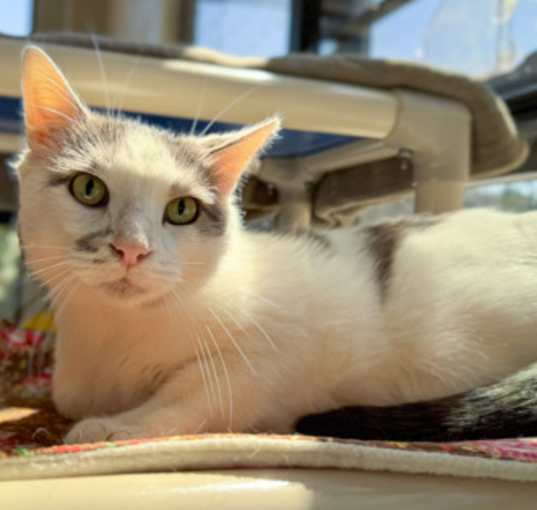 Photo of Cloudy