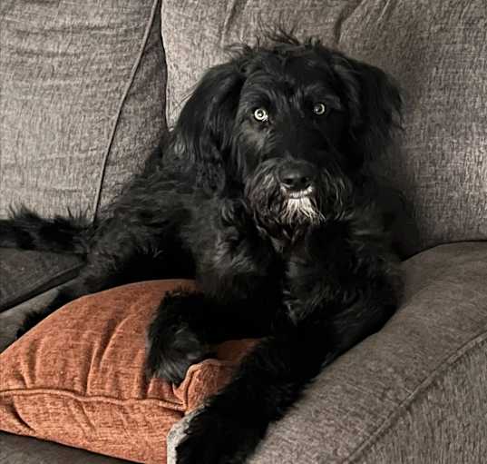 Photo of Jack