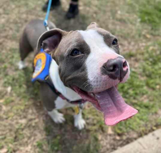 Photo of Roxie