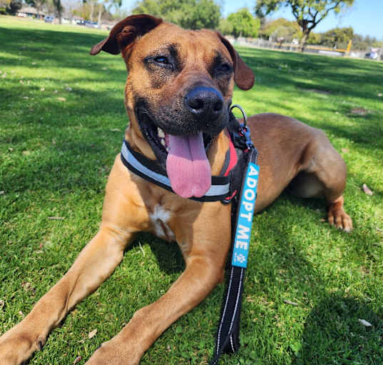 Photo of Tank