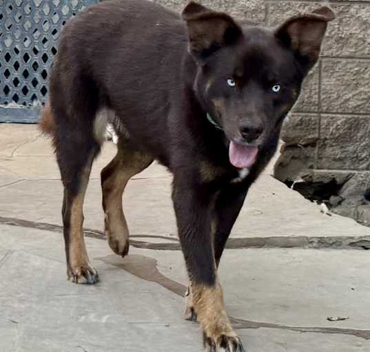 Photo of Hershey