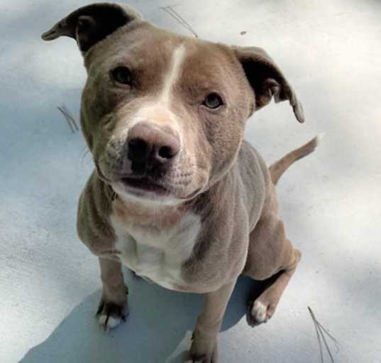 Photo of Lucy 25-D0163