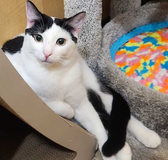 Photo of ZIGGY