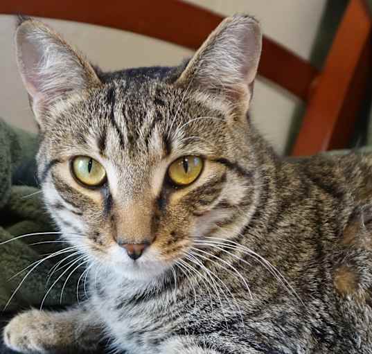 Photo of Senior Diego