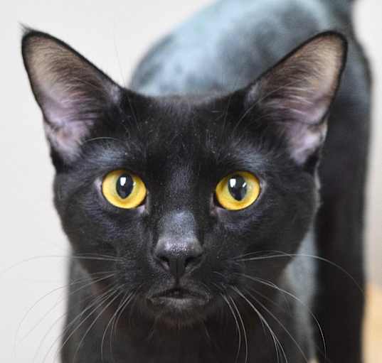 Photo of Spooky