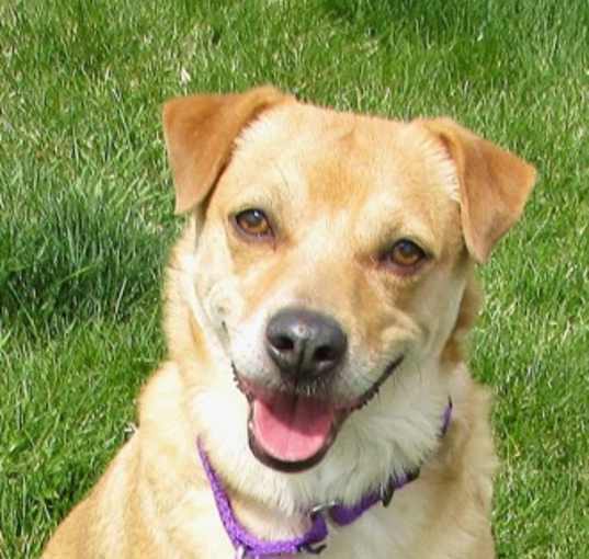 Photo of Luna