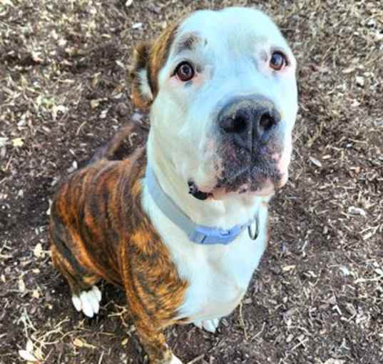 Photo of HEMI