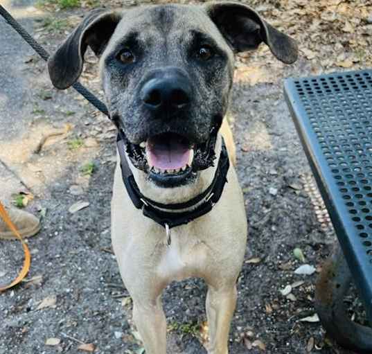 Photo of ZULU