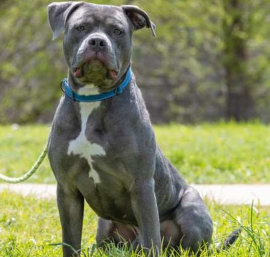 Photo of AZUL