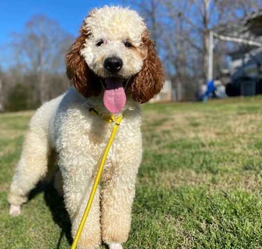 Photo of Oakley Mar 25