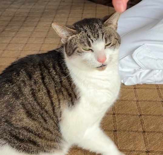 Photo of Riley