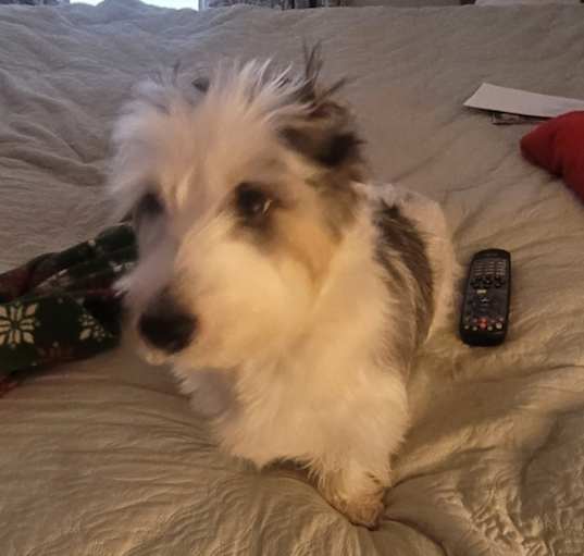 Photo of Sassy