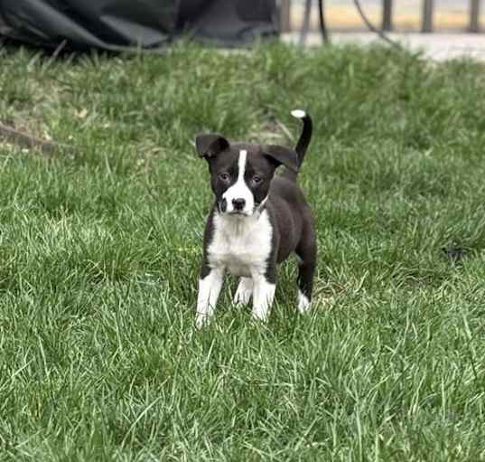 Photo of Matilda
