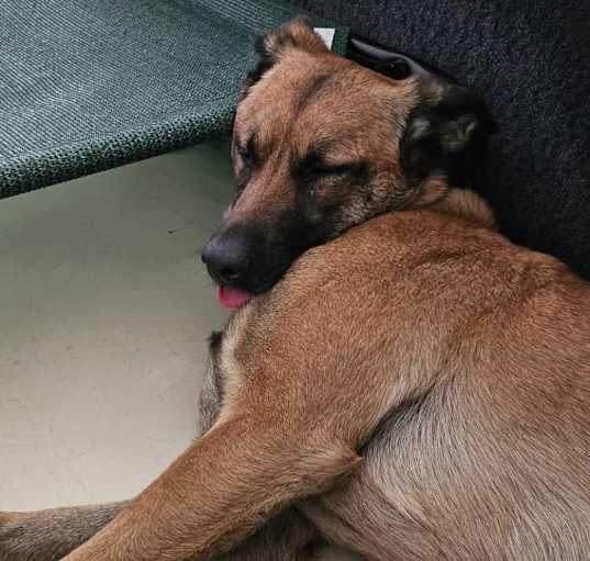 Photo of Bonnie
