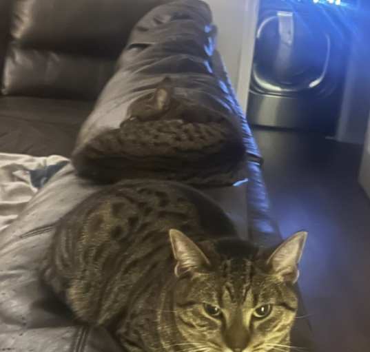 Photo of Lucy