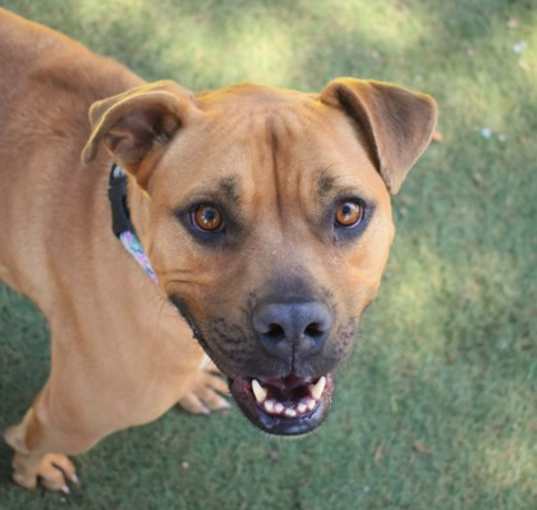 Photo of Ruby