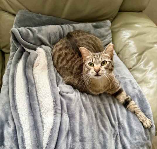 Photo of Sally