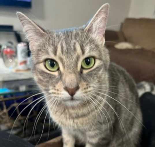 Photo of Daisy