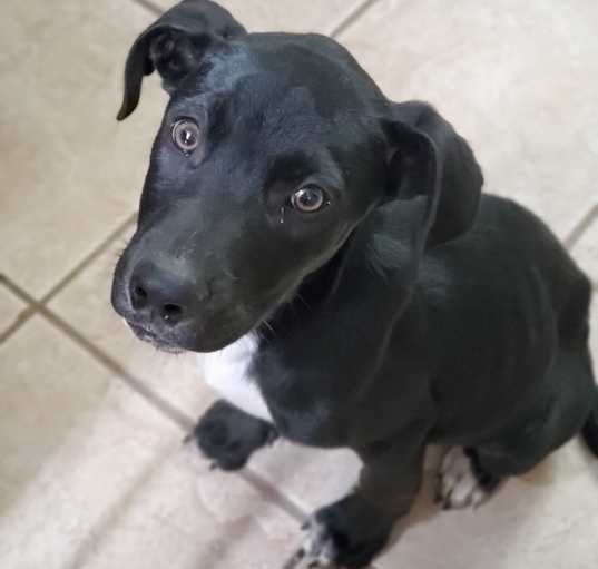 Photo of Asher