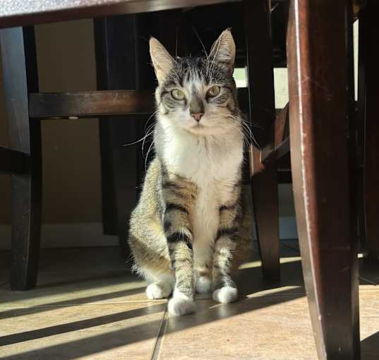 Photo of Pandi