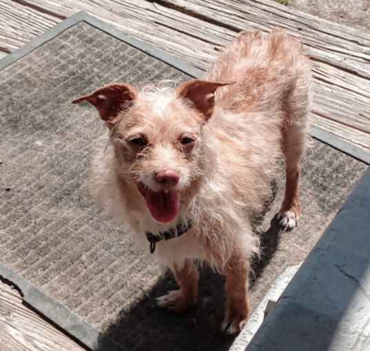 Photo of Daisy