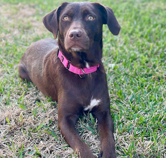 Photo of Mama Candy