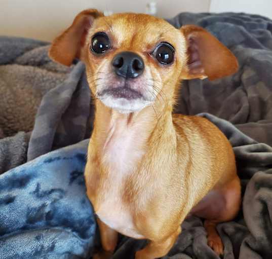 Photo of Charlie