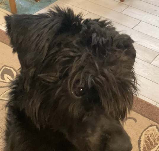 Photo of Magnus