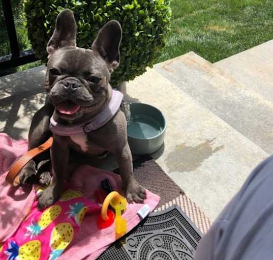 Photo of Luna