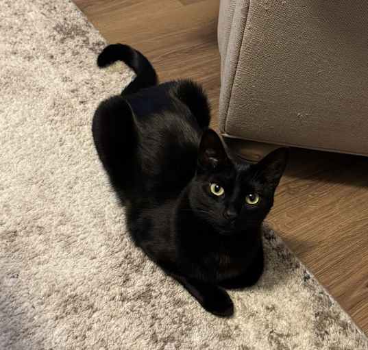 Photo of Zoe