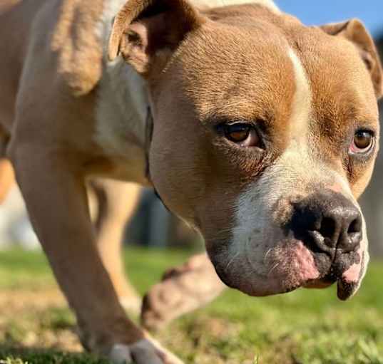 Photo of Kingston