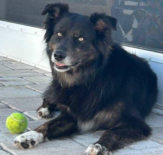 Photo of Denali