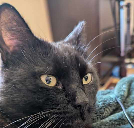 Photo of jelly