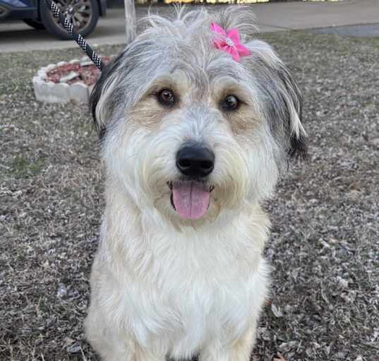 Photo of Zelda