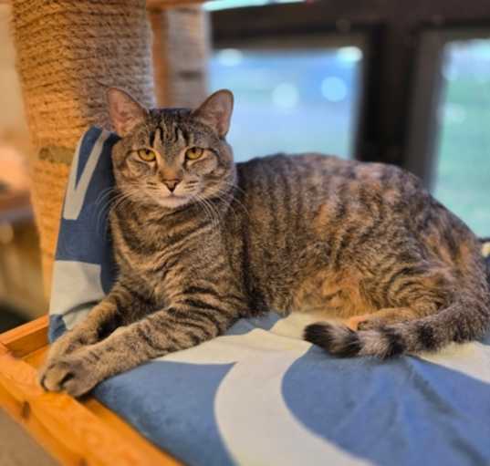 Photo of Dory