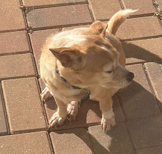 Photo of Lexie