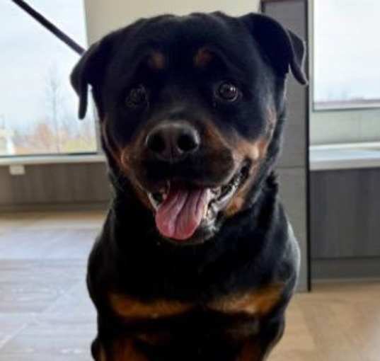 Photo of PENNY